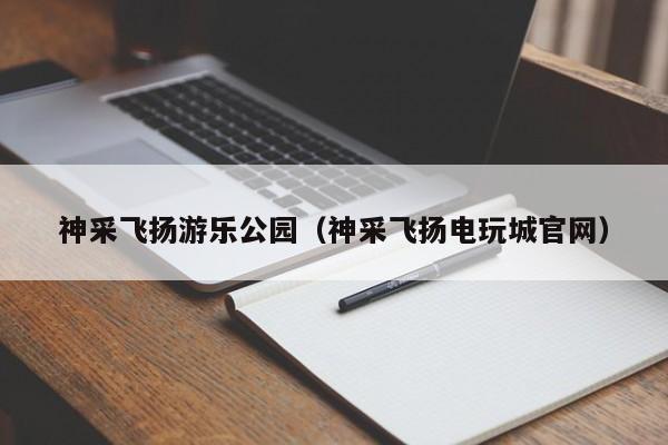 神采飞扬游乐公园(神采飞扬电玩城官网)