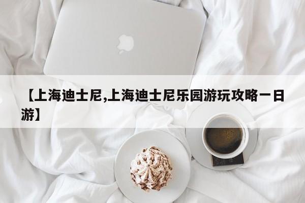 【上海迪士尼,上海迪士尼乐园游玩攻略一日游】