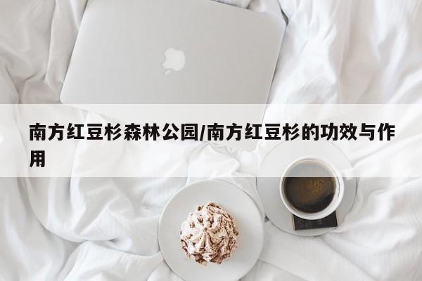 南方红豆杉森林公园/南方红豆杉的功效与作用